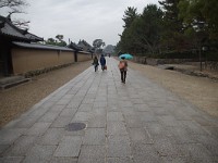 IMG 8934