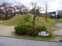 IMG 8956