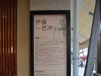 IMG 8967