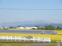 IMG 7911  彼方に赤城連山か