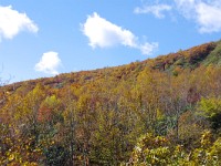 IMG 7915  茶臼岳の尾根筋の紅葉