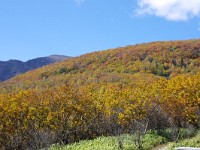 IMG 7940