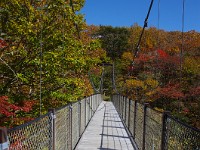 IMG 7943  初めて訪れた吊橋