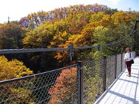 IMG 7947