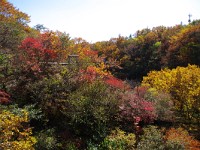 IMG 7948  茶臼岳の遠望台