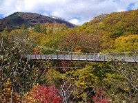 IMG 7962  秋の一景