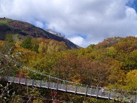 IMG 7963