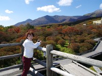 IMG 7991  今度は、春に着ましょう