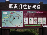 IMG 8015  躑躅が名所！