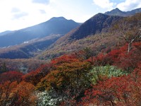 IMG 8035  躑躅の紅葉越しに茶臼岳・朝日岳・鬼面山