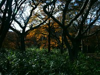 IMG 8078