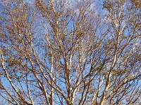 IMG 8079