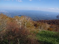 IMG 8081