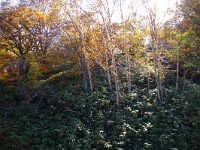 IMG 8096