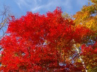 IMG 8153  言葉・・・出ない！