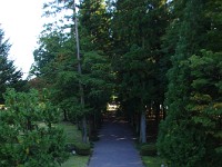 IMG 8190