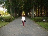 IMG 8194