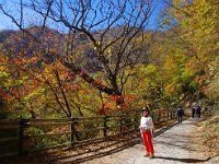 渓谷はまだ先です