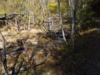 いい感じ・・・好きですね