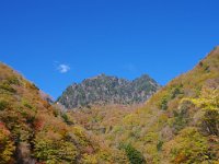 一際、目立ちますね