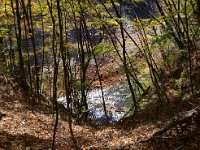 まだ、川幅は広い