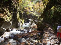 カエル🐸岩とか