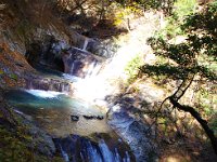 ナカナカの迫力です