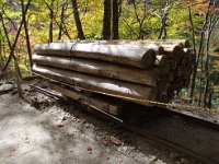 これがトロッコ