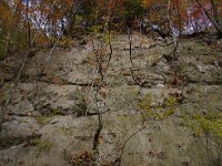 凄い・・・・見習わなくては！