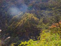 いい感じですね