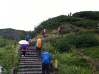 IMG 0868