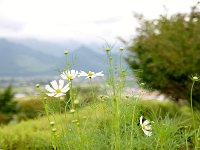 ちょっぴり、秋の気配