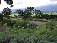 IMG 7258