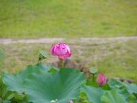IMG 7261