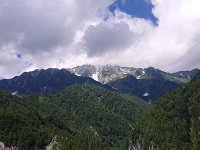 IMG 7331
