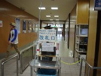 IMG 7415