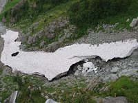 IMG 7427
