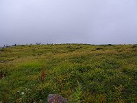 IMG 7459