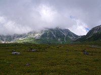 IMG 7465
