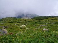 IMG 7468