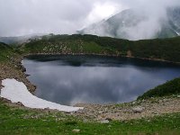IMG 7488