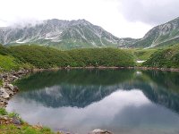ナイスショット