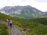 IMG 7525