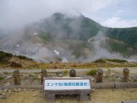 IMG 7537