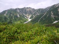 IMG 7579