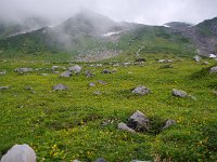 IMG 7605