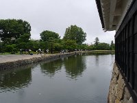 IMG 7660