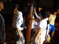 IMG 7668