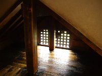 IMG 7683