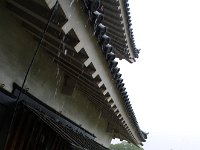 IMG 7693
